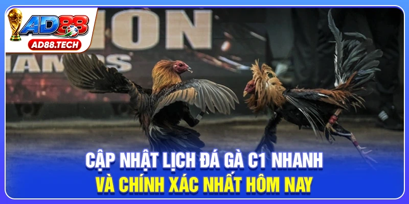 Cập nhật lịch đá gà C1 nhanh và chính xác nhất hôm nay